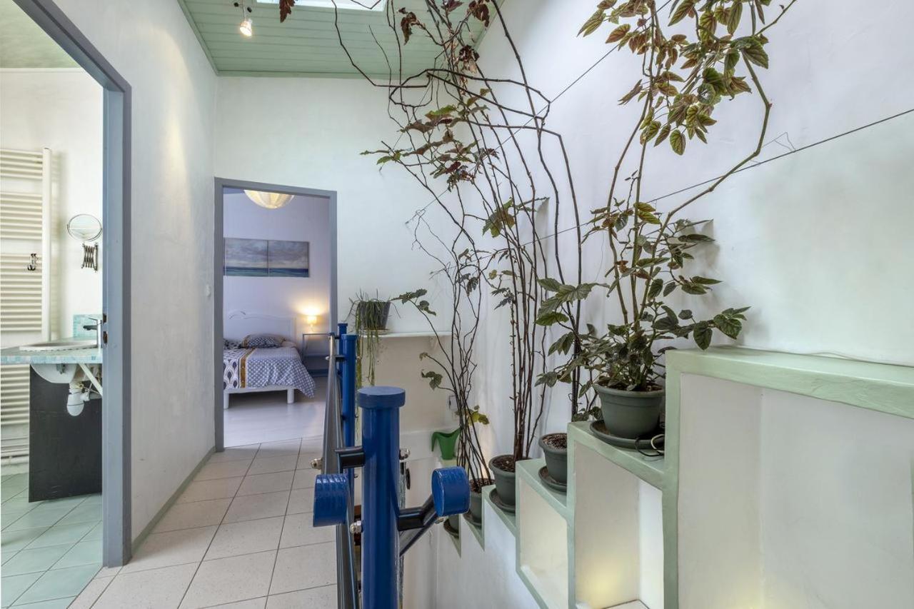 Les Volets Bleus T3 De 80 M2 Patio Privatif Apartment Rochefort  Exterior photo
